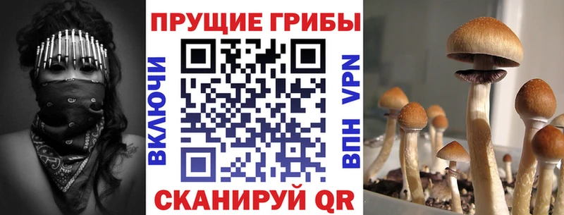 Галлюциногенные грибы прущие грибы  где найти наркотики  Таруса 